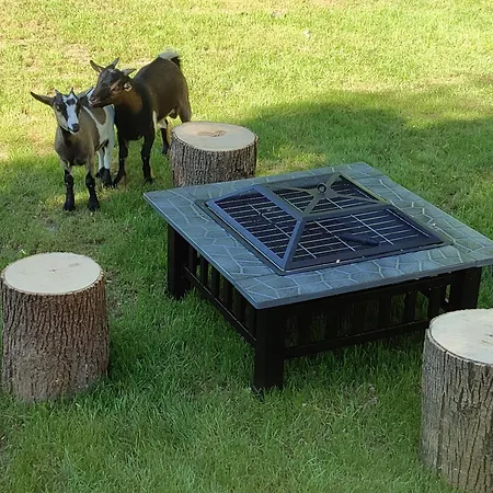 Bulles D'auvergne Luxe tent
